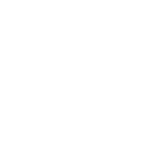 In-lite